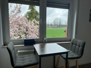 Wunderschöne Ferienwohnung mit Balkon auf dem Bauernhof - Greven - 8