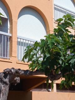 MER indigo & FLAMANTS Roses vue mer 5mn plage et parc des expositions Arena aeroport - 3