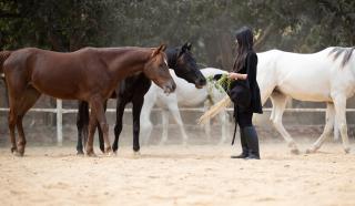 2-single beds beit zeina horse riding - Il Cairo - 7