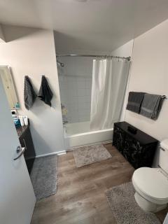 Cute and Cozy 1 Bed & Bath Apartment w/ Office - 2