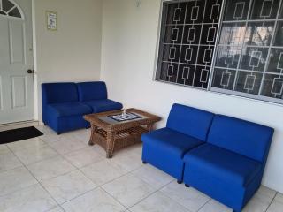 Beautiful 2-Bed Apartment in Montego Bay - Montego Bay - 6