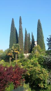 Casa Sol - San Felice del Benaco - 0