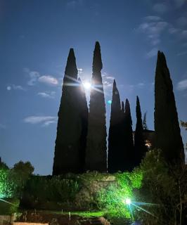 Casa Sol - San Felice del Benaco - 1