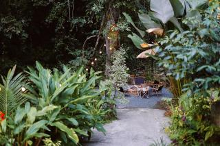 Bee Forest - Ban Pok Nai - 3