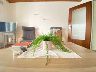 Cozy home in South-germany - Klettgau - 9