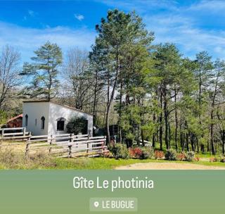 Le Photinia - Le Bugue - 9