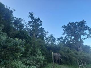 Aberdare white camp house kenya - Ndaragwa - 7