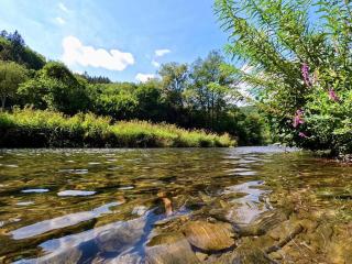 Taos Single - Camping Du Nord - Dirbach - 1