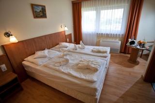 Aqua Therm Hotel - Zalakaros - 9