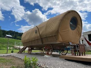 White Spring Glamping - Câmpulung Moldovenesc - 0