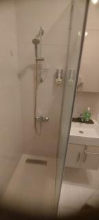 Entire Apartment with Garden - 6