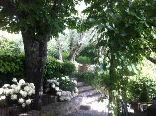 Le MAS des BANYONS - Mougins - 4