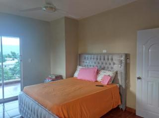 New apartment close to everything - Santiago de los Caballeros - 3