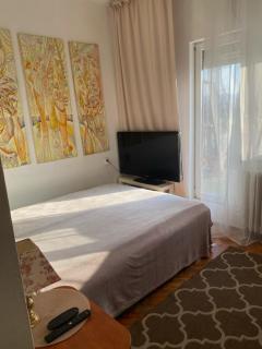 Penthouse Modena - Novi Sad - 4