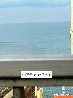 شقه خالد ابن الوليد بحر اول نمره - Alessandria d'Egitto - 7