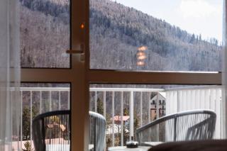 Eliss Studio Sinaia - spa si piscina contra cost - 5