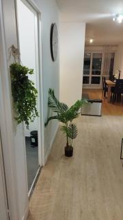 Parisian Cosy flat with Balcony - Argenteuil - 9