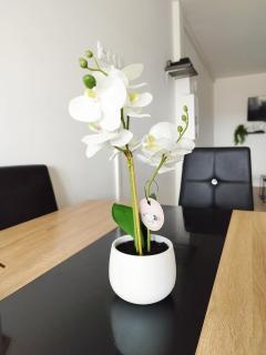 Parisian Cosy flat with Balcony - Argenteuil - 0