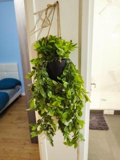 Parisian Cosy flat with Balcony - 4