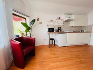 Flower Inn - apartament 3 - Cluj-Napoca - 9