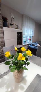 Apartma Soča Oasis - Srpenica - 4