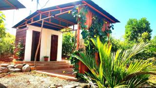 Kocorica - Parrita - 0
