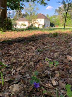 Domaine de Beauvilliers - Chaumontel - 1