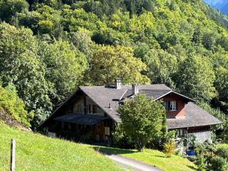 Chalet ALPEN LOTUS - Innertkirchen - 9