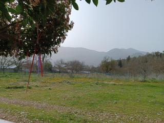 Erymanthos country home - Kalavrita - 8