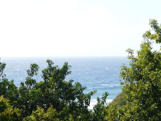 Villas Coccoloba & Jacaranda - 1