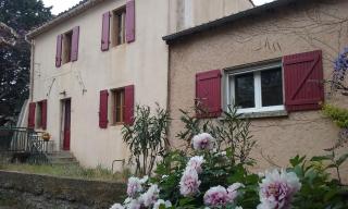 Chez Irène - Félines-Minervois - 1