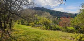 Mas1850 en Drôme provençale - La Bégude-de-Mazenc - 5