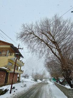 EVERGREEN ESCAPE - Kargil - 8