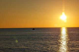 PET FRIENDLY 3-bedroom house, minutes from Beach - Venice - 4