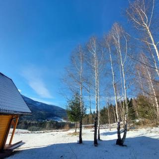 Panorama Sucha Góra ,Leśny domek - Skawica - 9