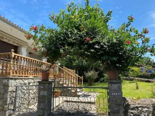 Los Picos - Casa rural con jardín - Bricia - 7