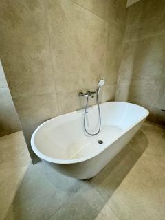 Studio suite climatisé avec balcon, kitchenette équipée, douche, baignoire, wc et bureau - Genay - 2