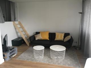 Joli Duplex rénové à neuf de 72m² - Fresnes - 9