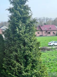 Apartament Nawojowski - Nowy Sącz - 5