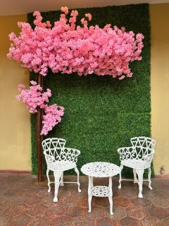 NASS Central Garden - Cuenca - 3