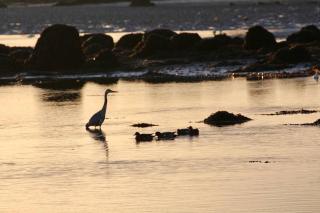 Curlews Rest - Gateway to the Aran Islands - 8