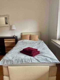Moderne Ferienwohnung für bis zu 5 Personen mit 100% Wohlfühlfaktor - Bad Oeynhausen - 7