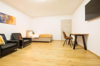 Homefeeling Apartment am Eisweiher Park - 5