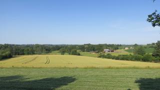Une maison à la campagne - Saint-Mars-sur-la-Futaie - 9