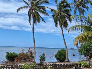 SofPat Plage Raiatea - Taputapuapea - 4