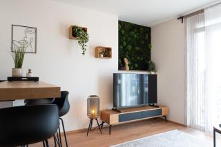 MH Living - 22 - Scandinavian Living Dream in Center - Graz - 6