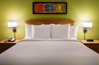 Sonesta Simply Suites Phoenix Scottsdale - Scottsdale - 3