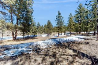 Wet Mountain Retreat with Breathtaking Views - Westcliffe - 1