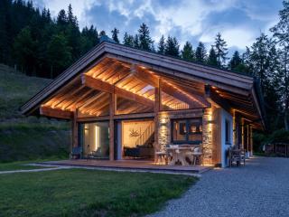 Mountain Hide-Away - 3