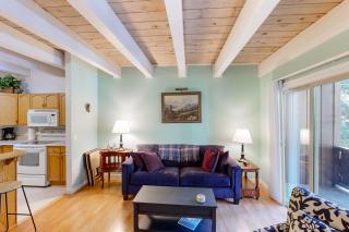 Take a Peak - Incline Village - 8